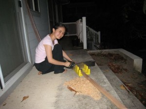 Sawing the maple